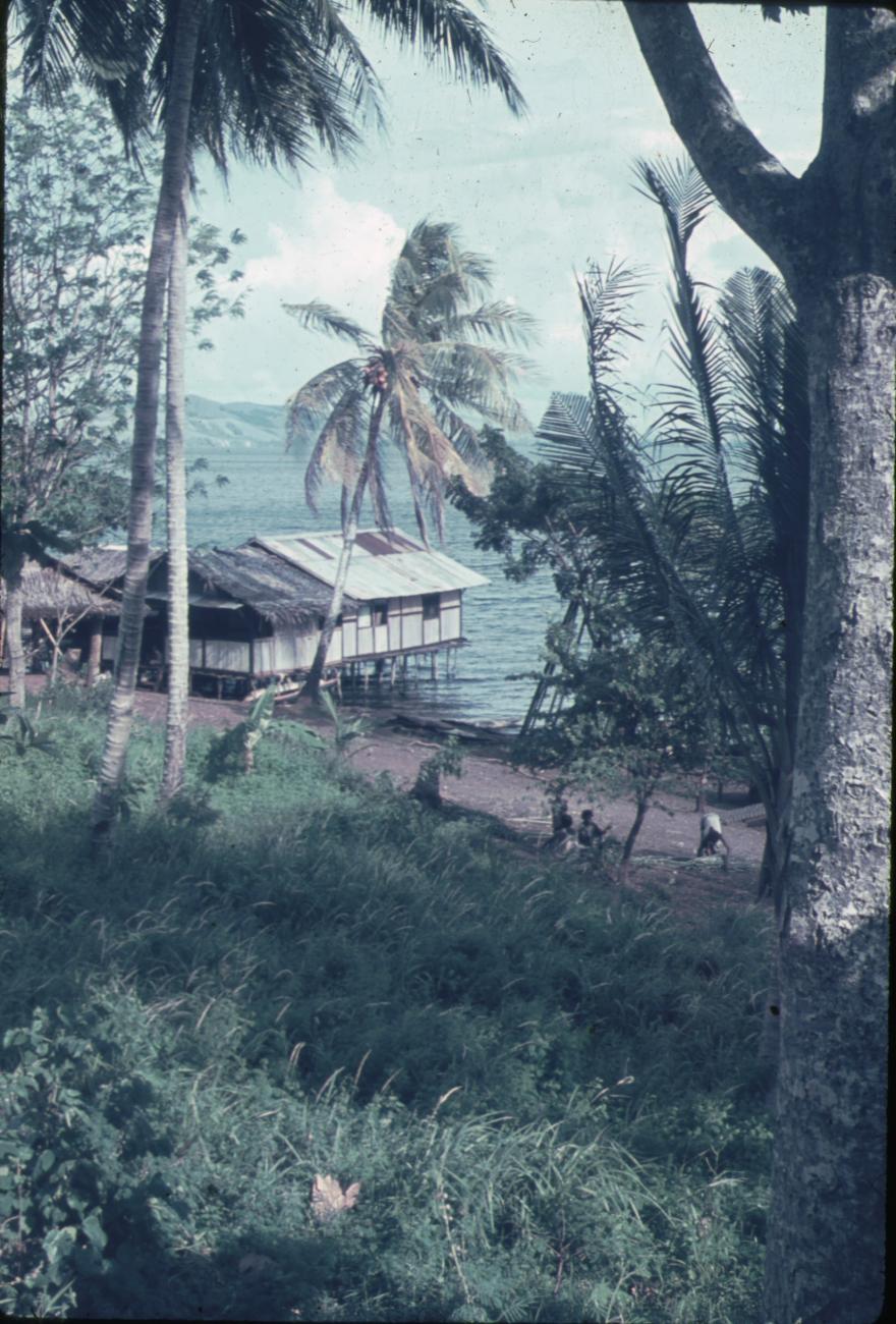 BD/248/285 -
Uitzicht op huis in het water (Sentani)