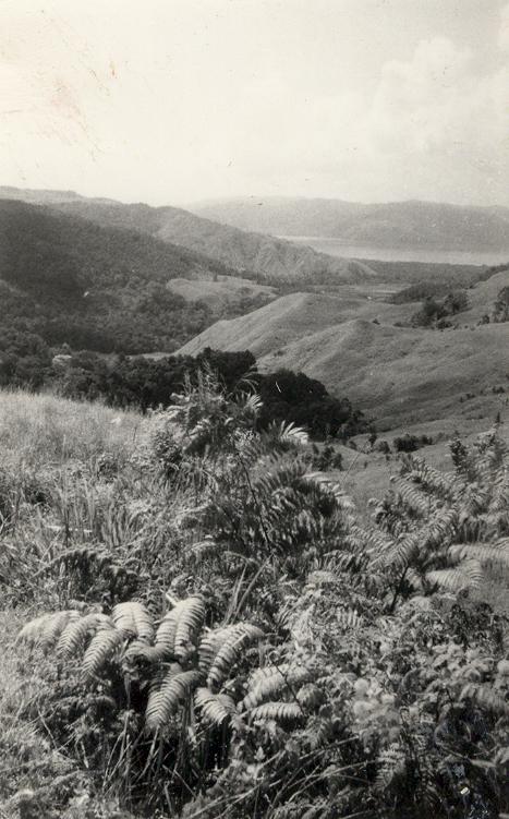 BD/269/16 -
Landschap bij de Wisselmeren