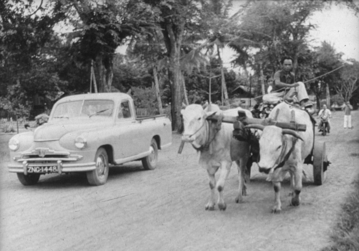 BD/285/178 - 
Onverharde weg met ossenwagen
