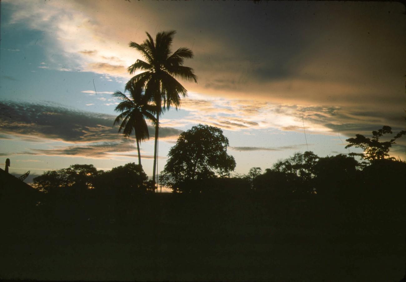 BD/288/166 -
Zonsondergang