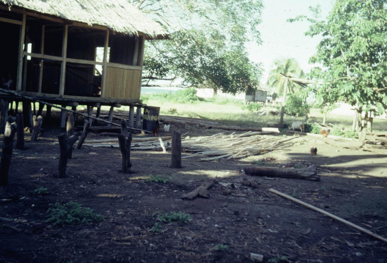 BD/289/54 - 
Inlandse hut in aanbouw
