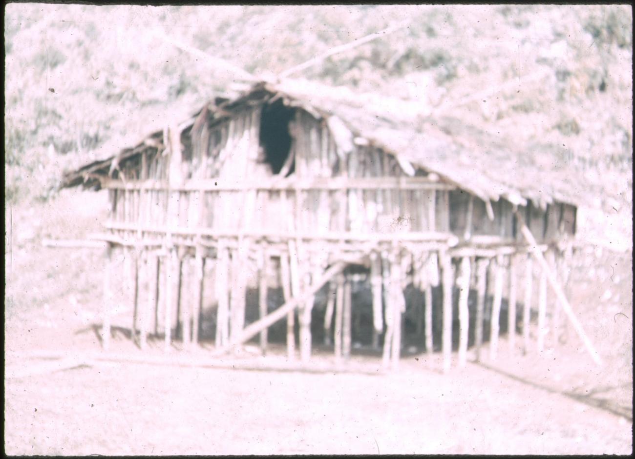 BD/309/148 -
Traditionele paalwoning in de Vogelkop