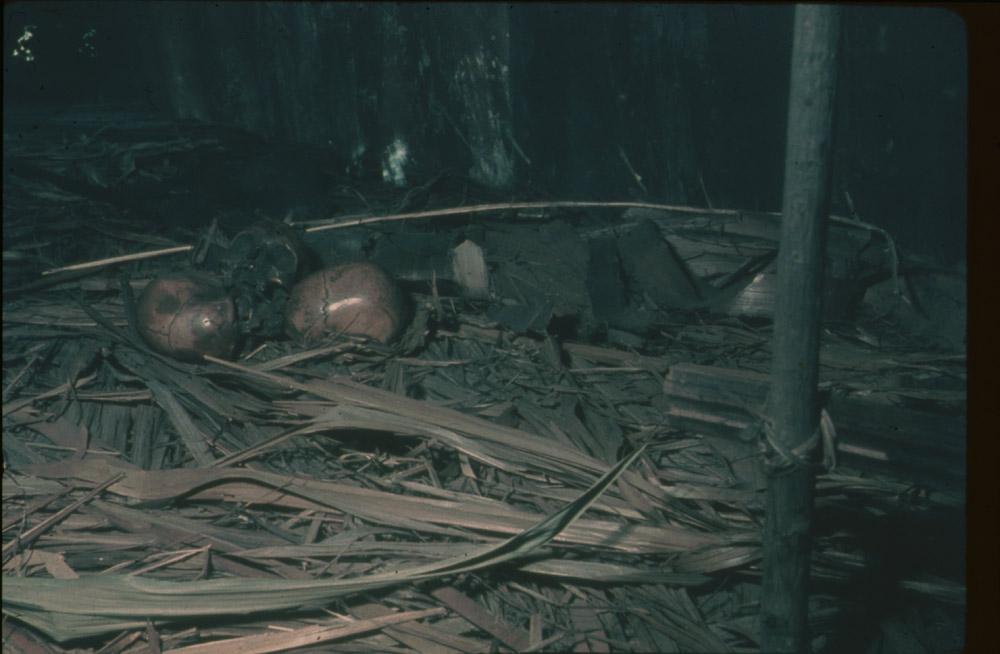 BD/30/44 -
Skulls on the floor of a house