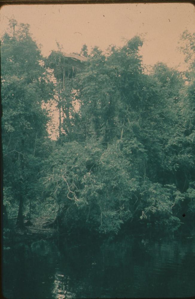 BD/30/47 -
Tall stilt house amidst the vegetation on the river shore