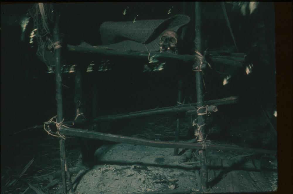 BD/30/53 -
Skull on a wooden scaffolding