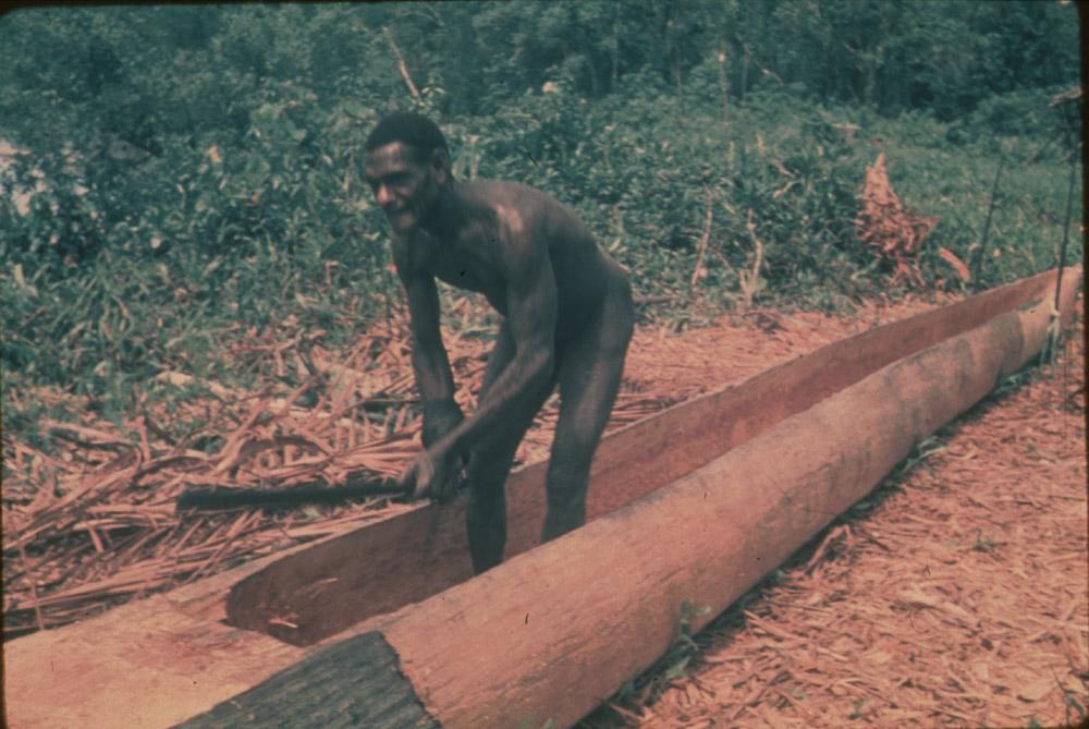 BD/30/54 -
Asmat man carves a tree trunk into a prau with his machette