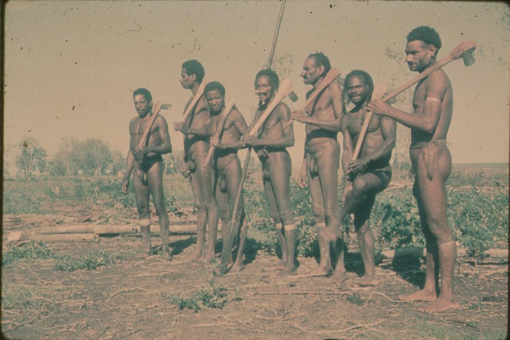 BD/30/56 -
Group of Asmat men with stone axes and a man with a spear