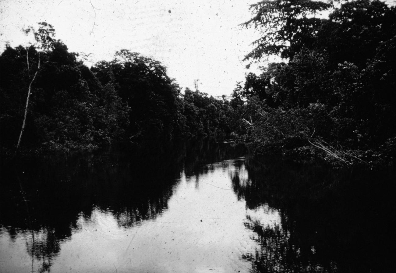 BD/66/155 - 
Rivier met bos aan weerzijden
