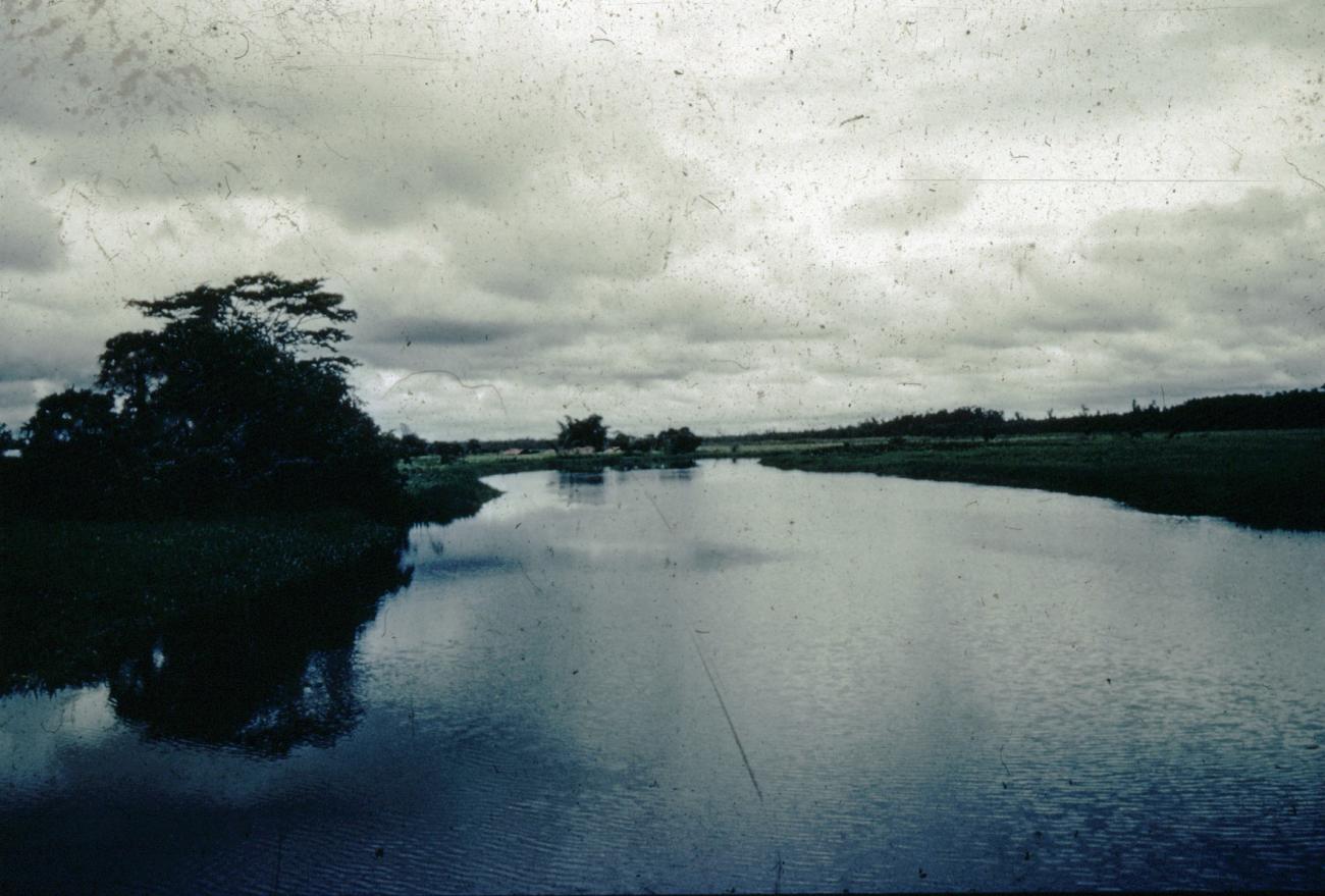 BD/66/226 - 
Rivier in Zuid Nieuw-Guinea
