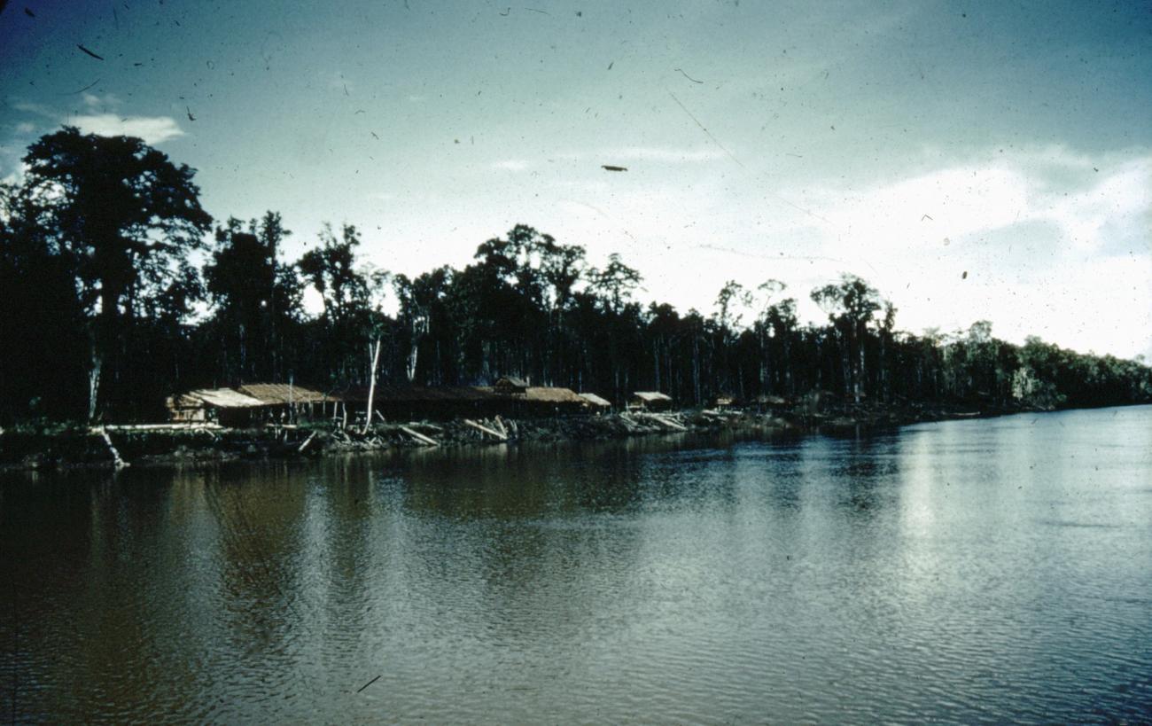 BD/66/237 -
Huizen aan rivier in Zuid Nieuw Guinea