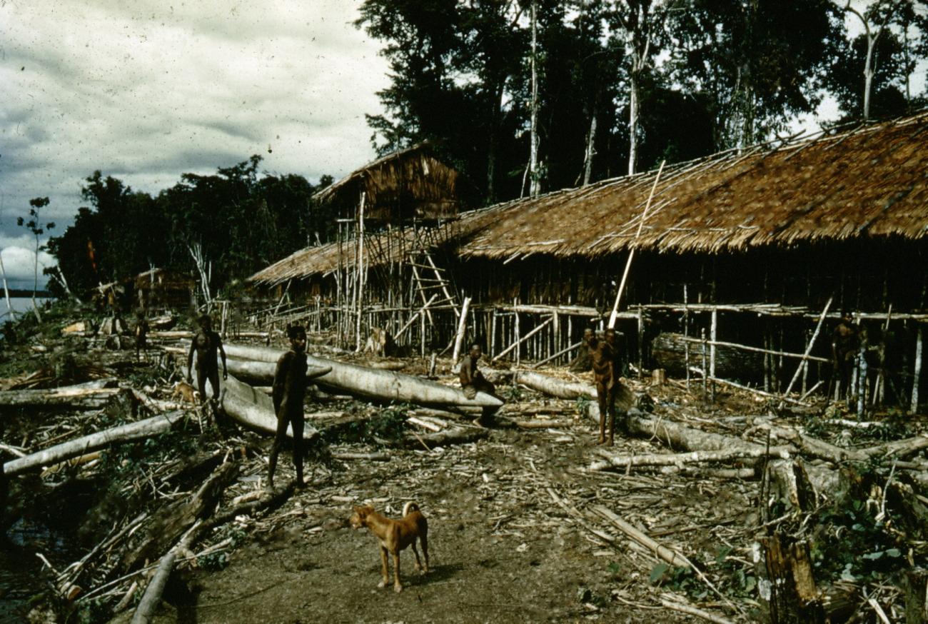 BD/66/238 -
Huizen aan rivier in Zuid Nieuw Guinea