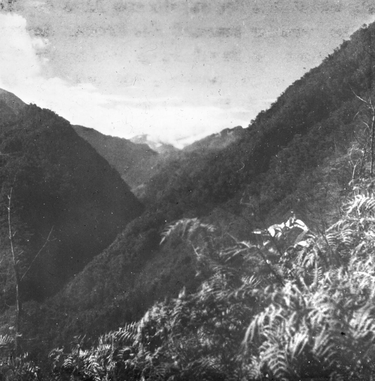 BD/66/281 - 
Bergachtig gebied
