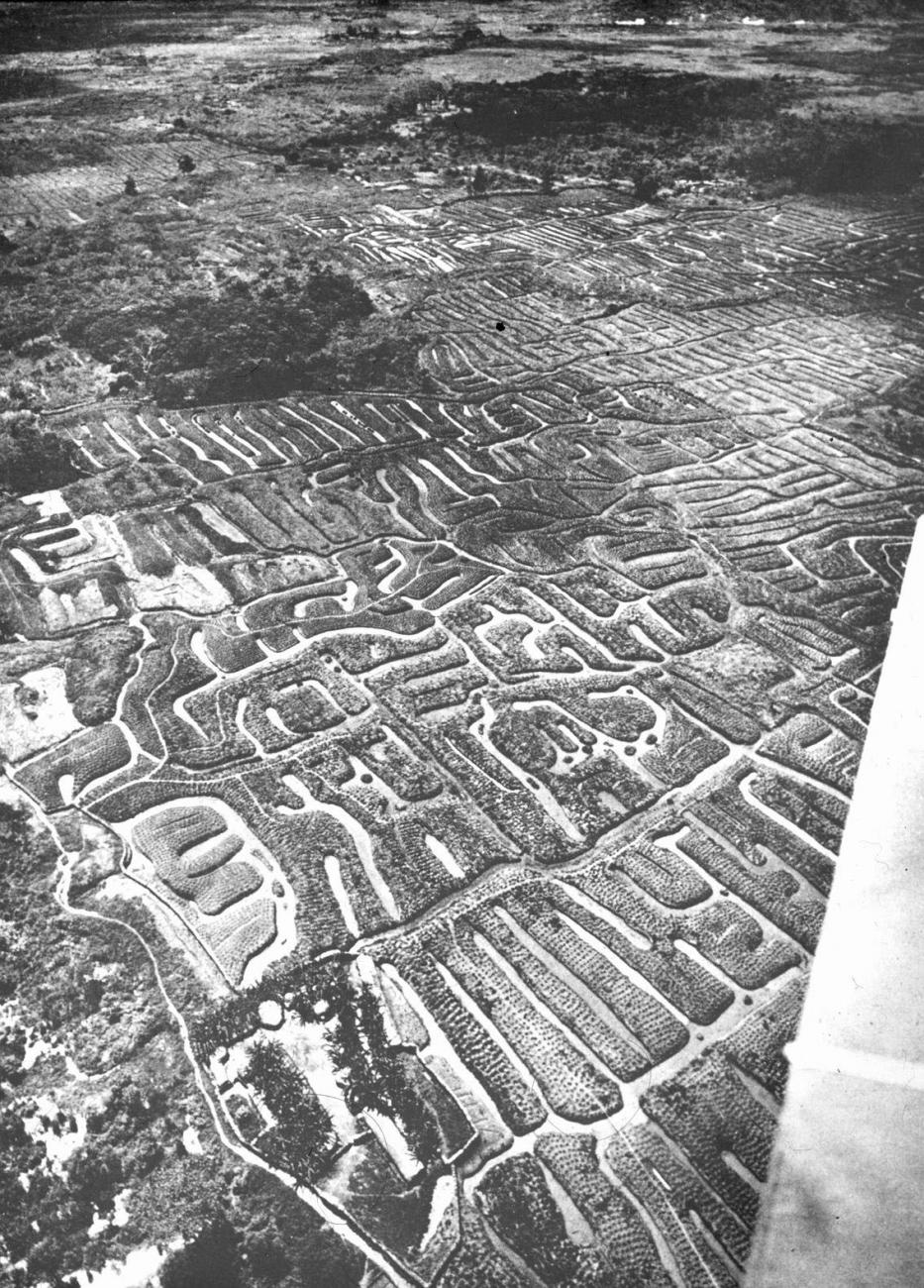 BD/66/295 - 
Tuinen in de  Baliemvallei
