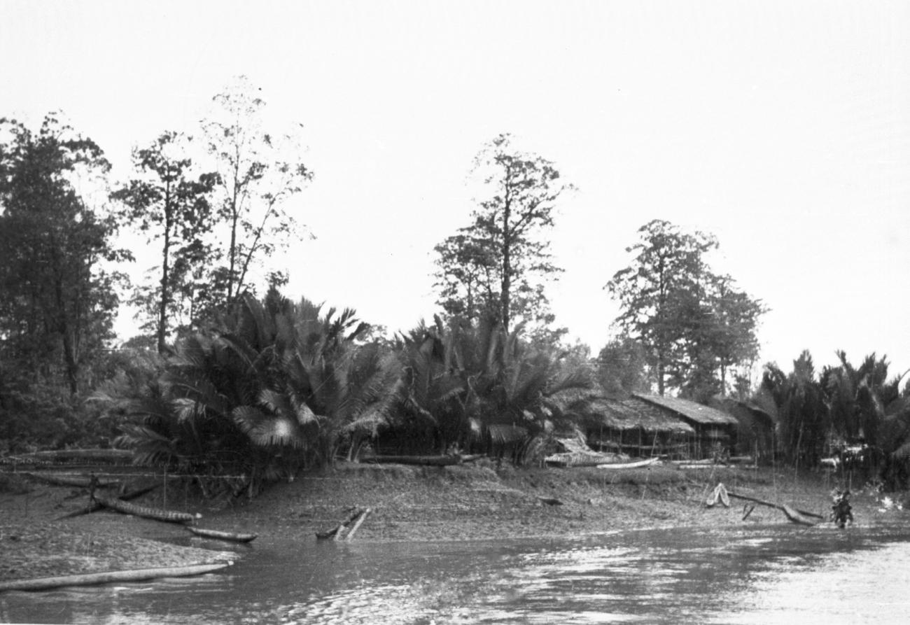 BD/66/393 - 
Huis aan rivier in Asmatgebied
