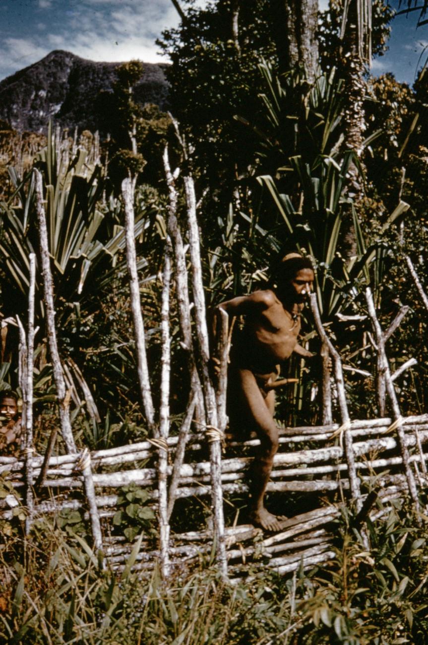 BD/66/61 -
Resident from the Central-Highlands switches fence