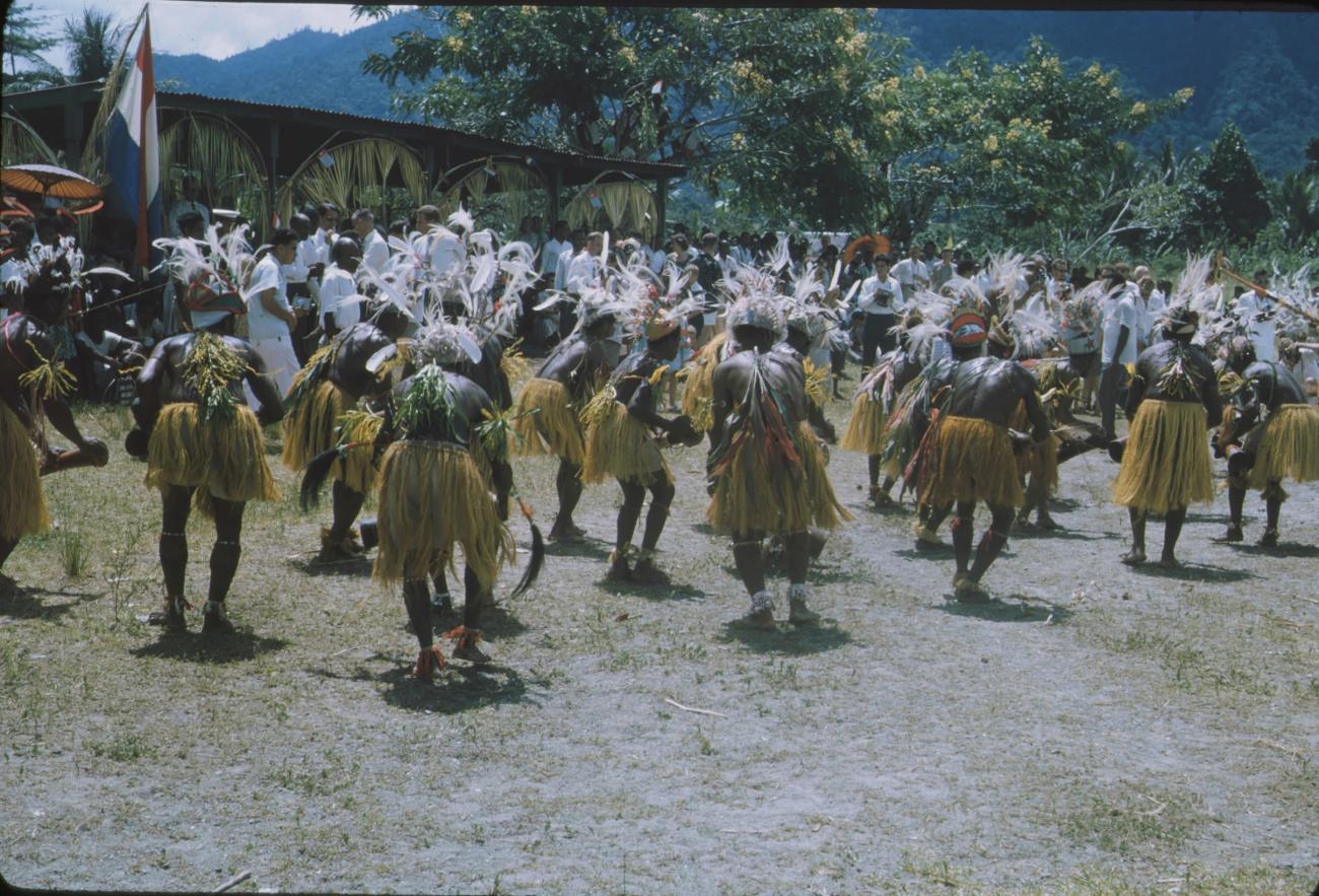 BD/171/123 -
Festiviteit, papoea's in traditionele kleding.
