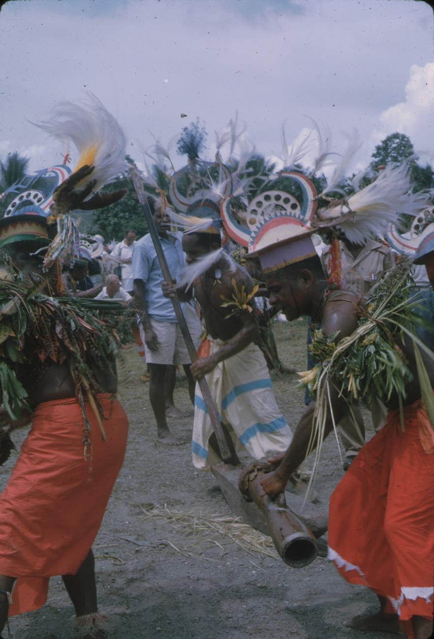 BD/171/125 -
Festiviteit, papoea's in traditionele kleding.