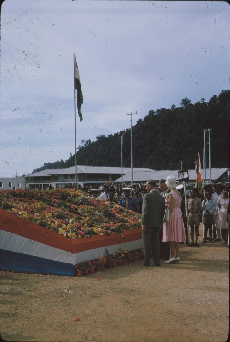 BD/171/163 -
Koninginnendag, planten ter ere van koningin en prins.