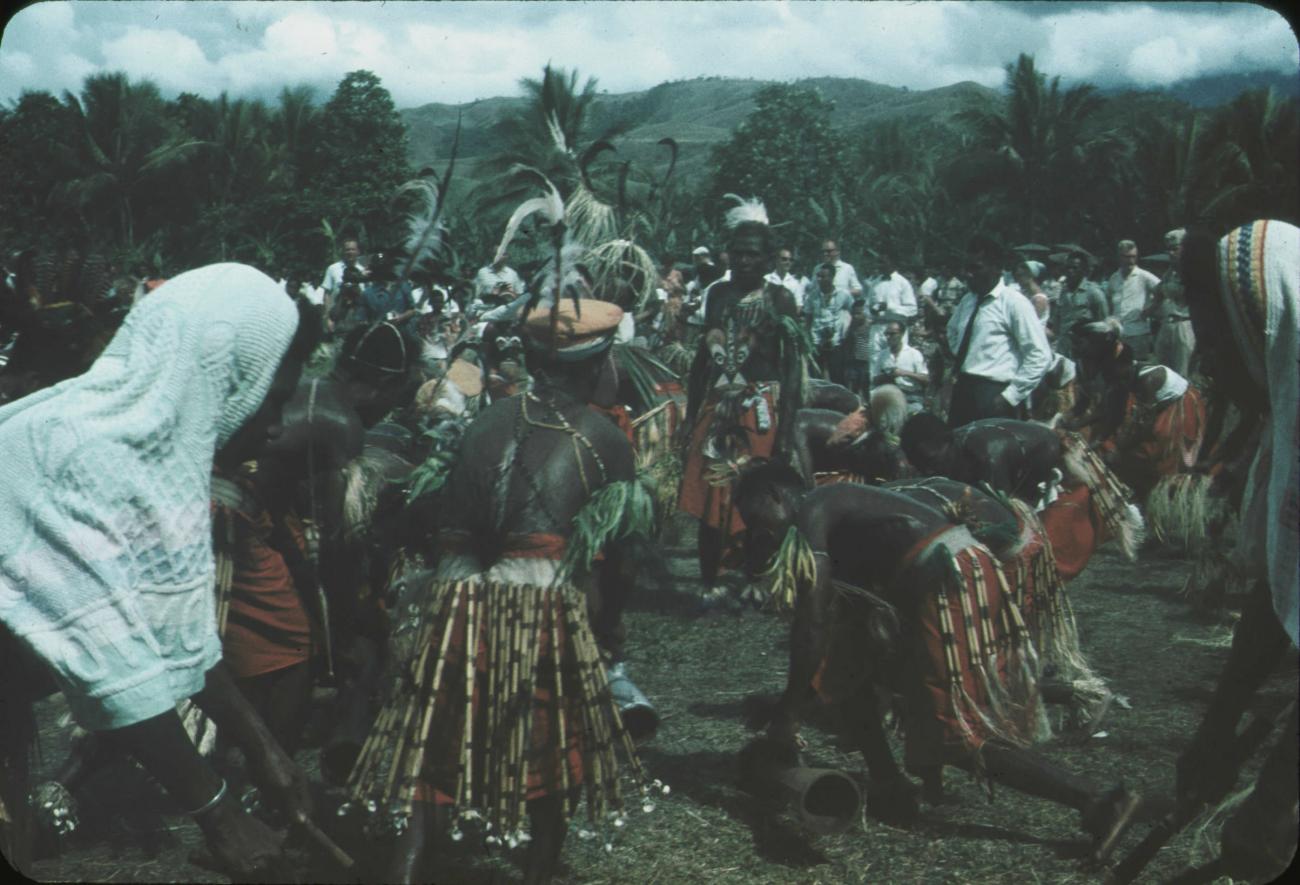 BD/171/16 -
Festiviteit, dansende mannen in traditionele kleding.