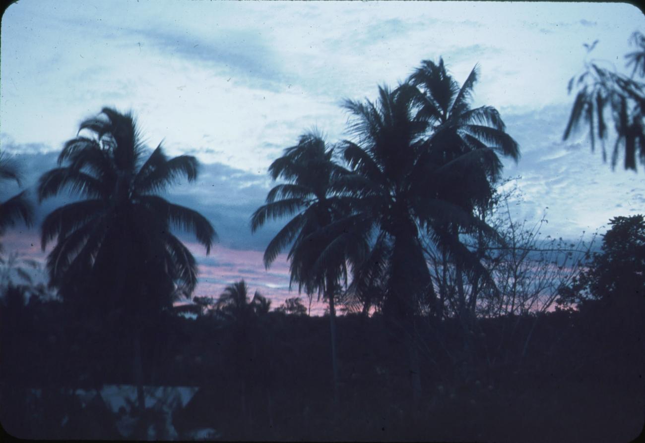 BD/171/262 -
Landschap met palmbomen bij zonsondergang.
