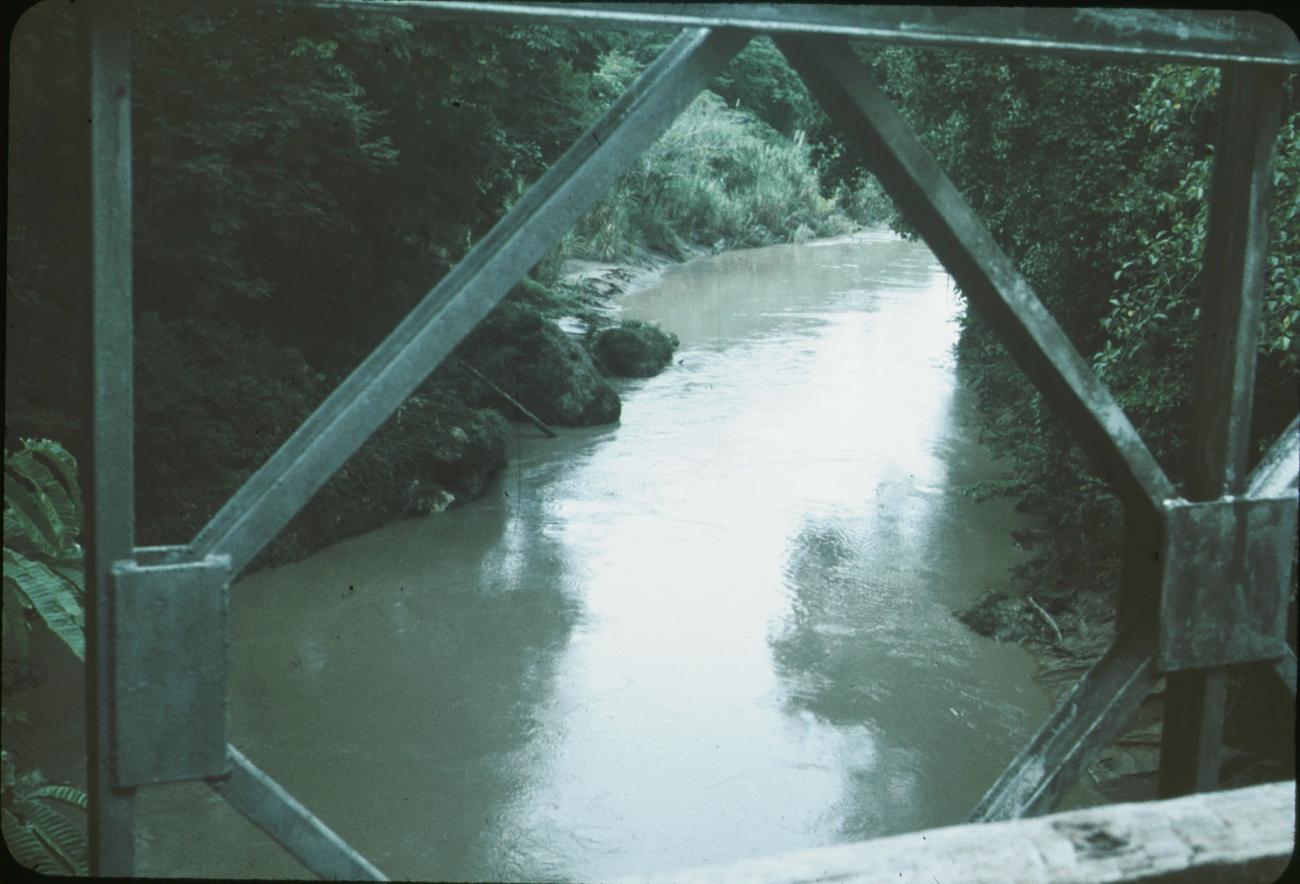 BD/171/327 -
Riviertje vanaf een brug gezien.