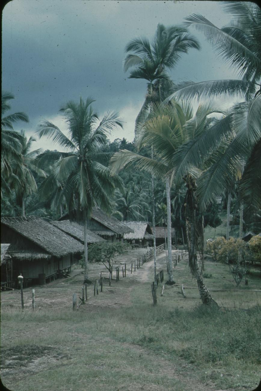 BD/171/332 -
Hutten tussen de palmbomen