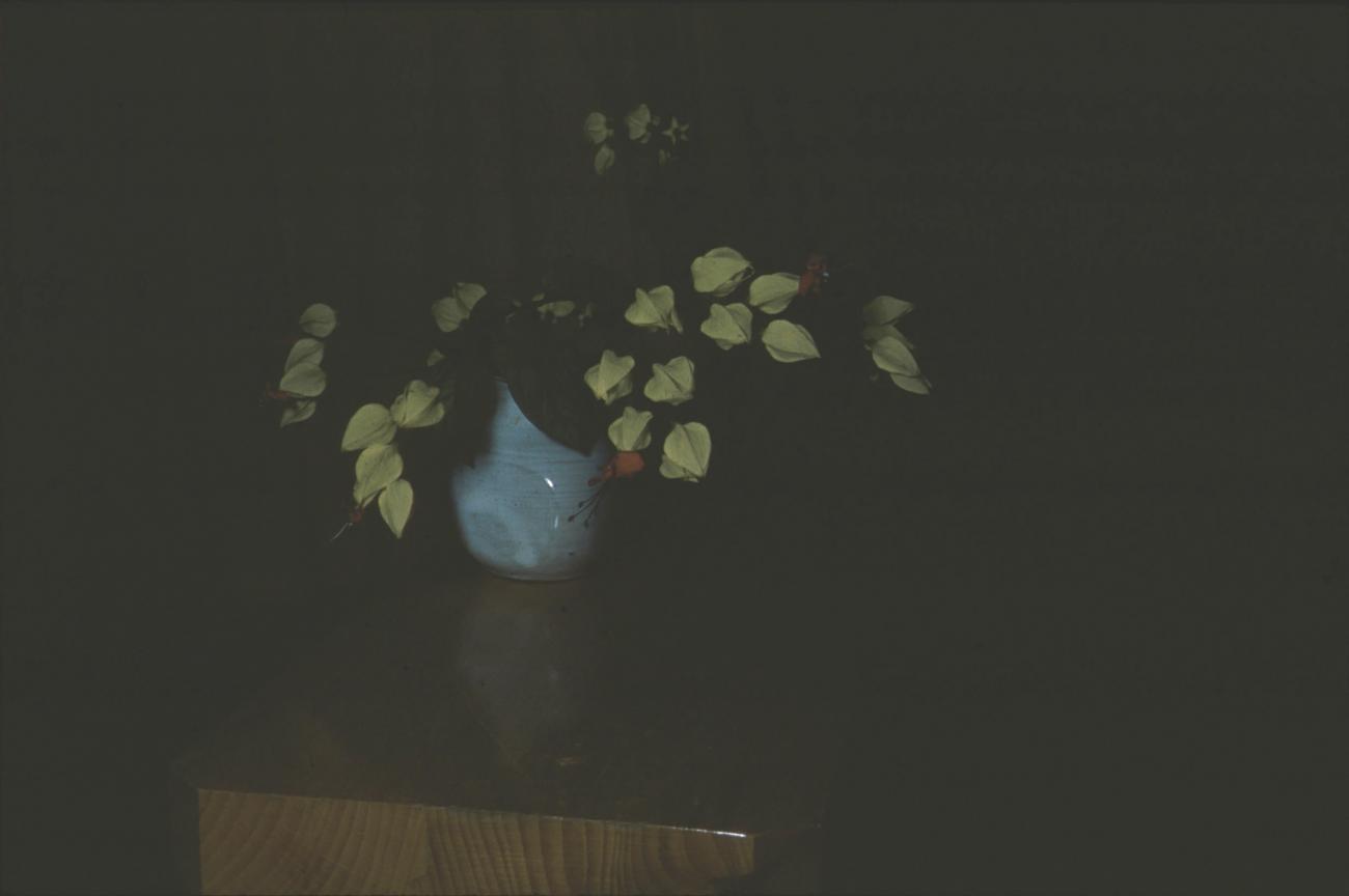 BD/171/1516 -
Vaas met bloemen.