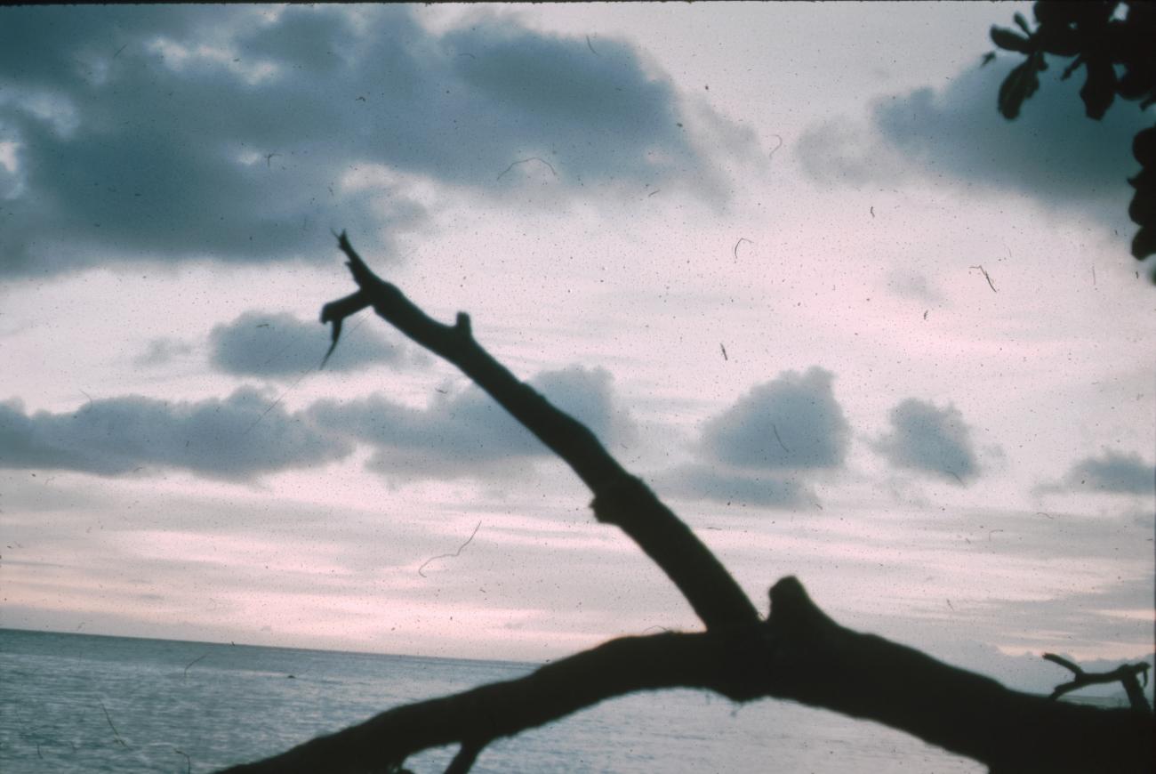 BD/171/606 -
Baai.