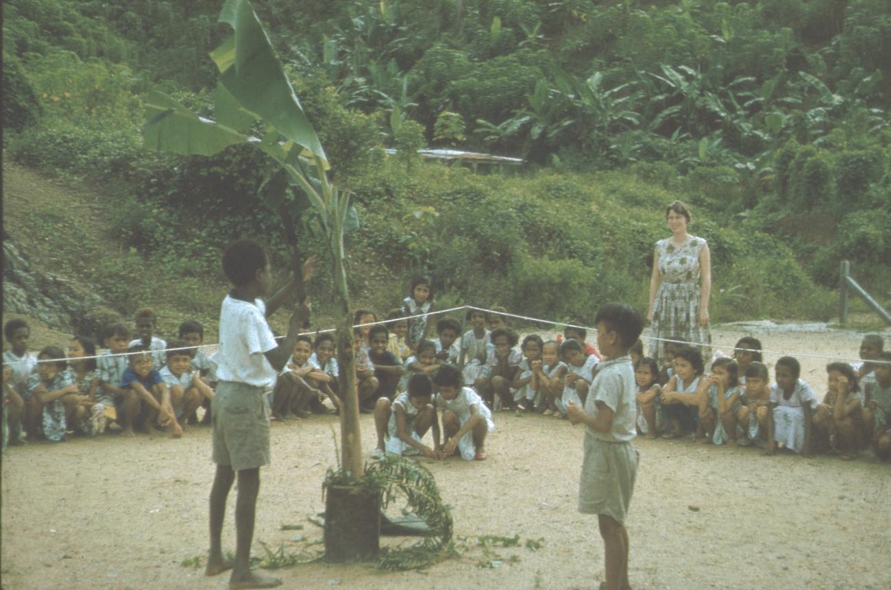 BD/171/723 - 
Jongens met grote plant in pot op school
