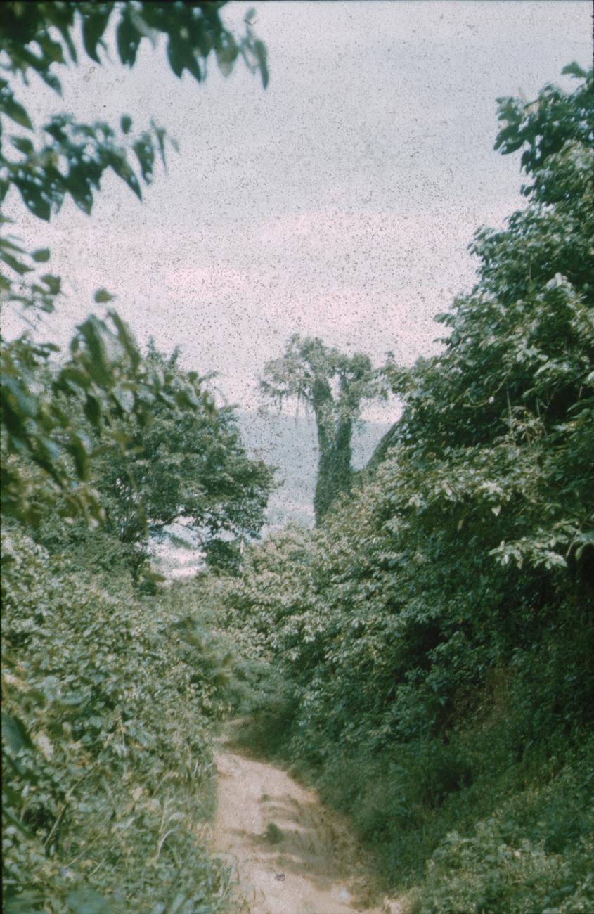 BD/171/832 -
Natuur