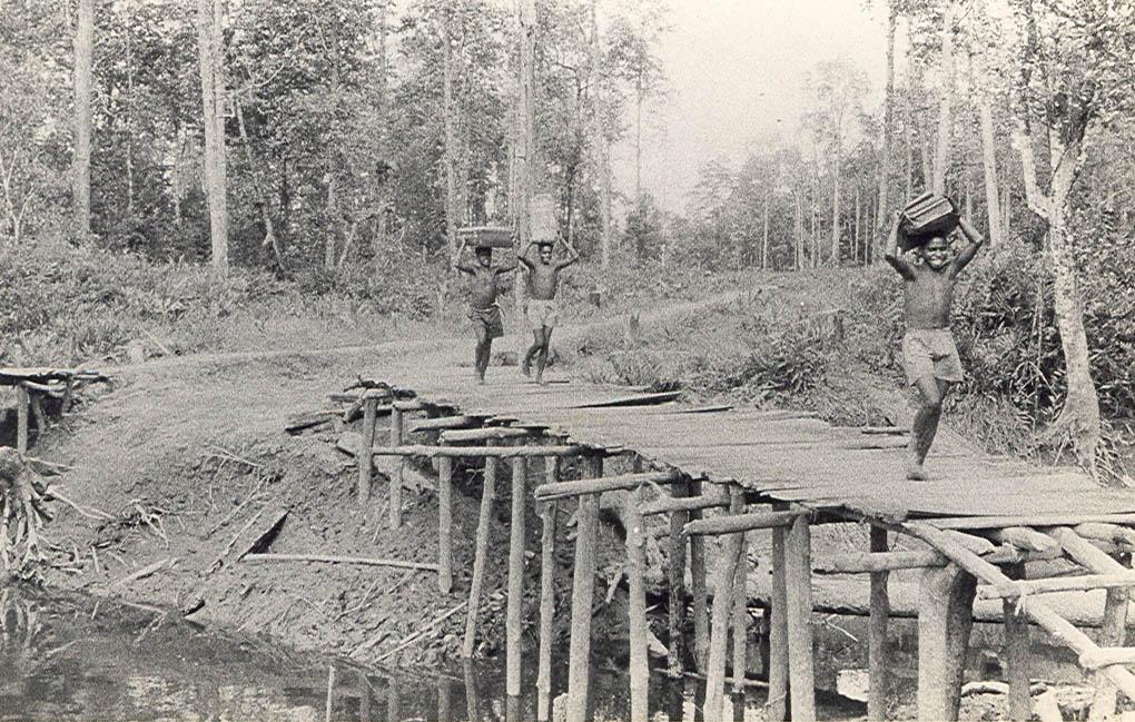 BD/269/1135 -
Papoea's dragen de bagage van Franciscaans broeder Henk Blom over een brug naar de pastorie in Agats