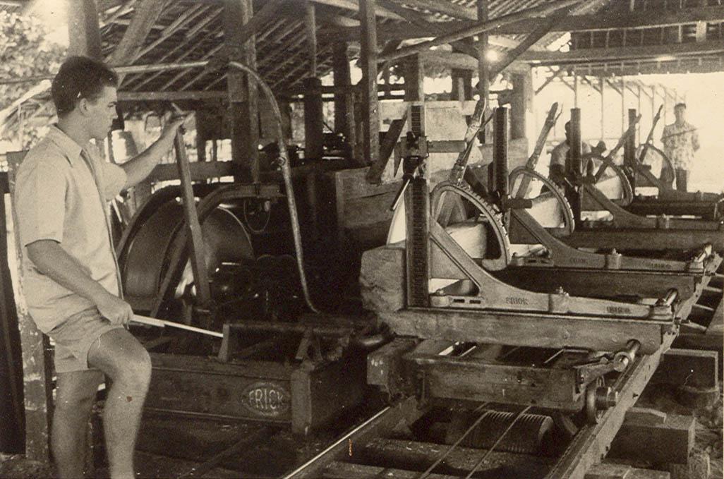 BD/269/1198 -
Nico Menting in de zagerij van Kokonau