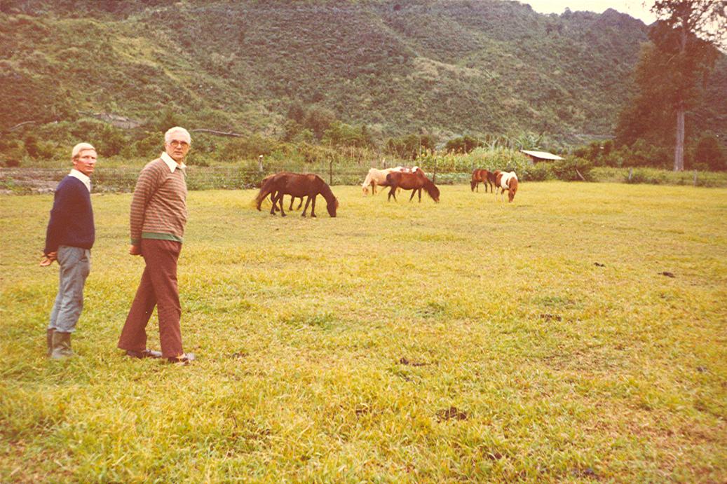 BD/269/998 - 
Paardenveld
