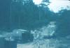 BD/67/76 Biak