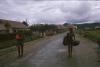 BD/166/231 Na de regen