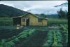 BD/209/1124 Moestuin en huis