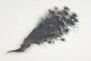 EA/153/2 veren