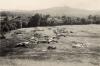 BD/308/22 Sentani