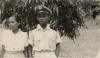 BD/308/76 Sentani