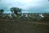 BD/288/138 Paardenrace