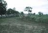 BD/288/139 Paardenrace