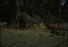 BD/288/44 Strandhut 