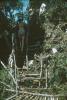 BD/288/60 Boomhut van Nederlands gezin Sentanimeer????