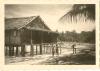 BD/84/3 kampongwoning in Mokmer, Biak(2)