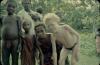 BD/144/269 Groepsfoto papoea-kinderen met o.m. albino