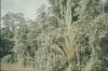 BD/144/496 Natuur