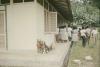BD/144/629 Schoolgebouw