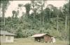 BD/144/632 Twee kleine westerse gebouwen, jungle op achtergrond