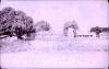 BD/67/225 Landschapsopname met gebouwen te Merauke