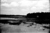 BD/67/241 Landschapsfoto van water en riet